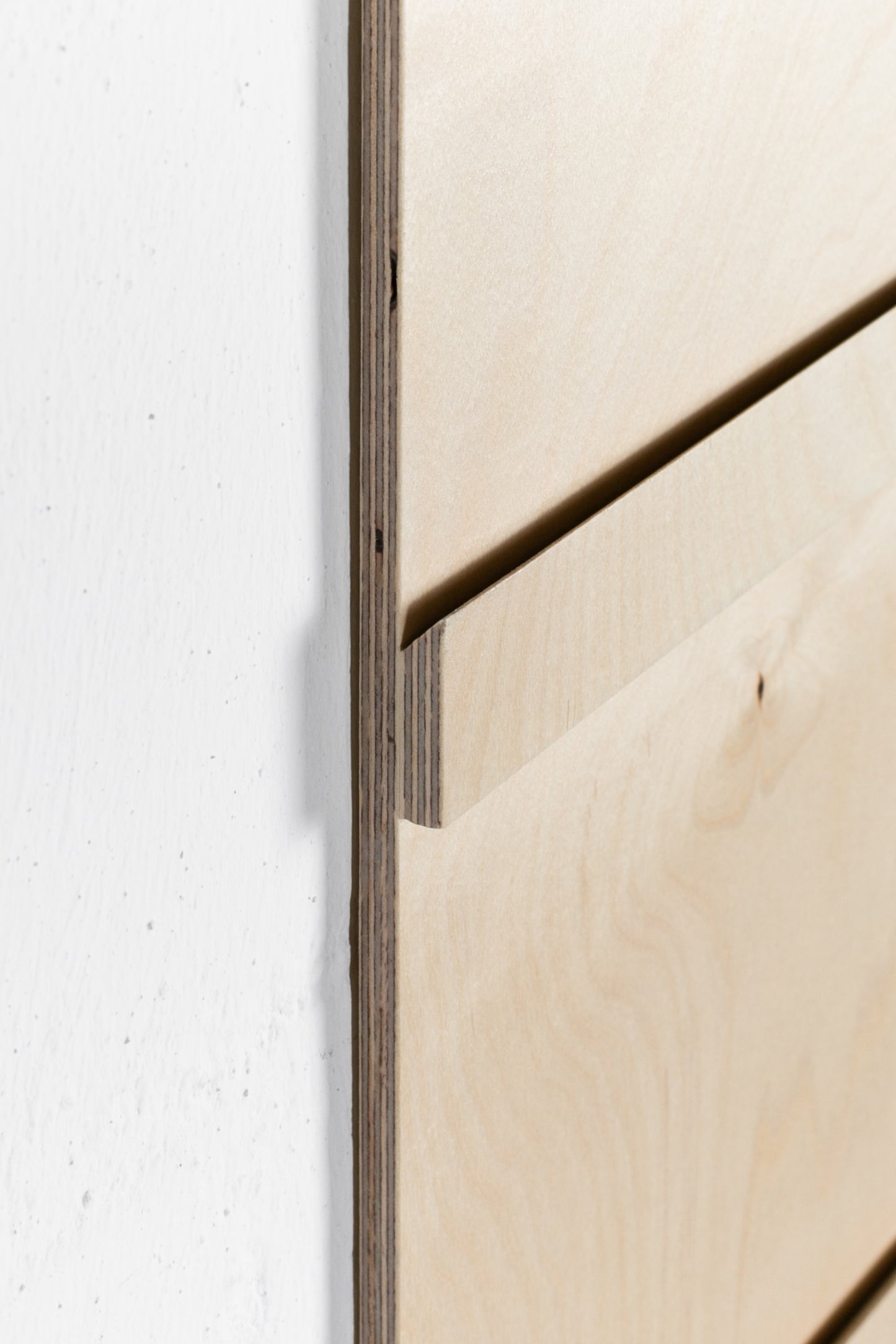 Shoe Shelf with Wall Hook