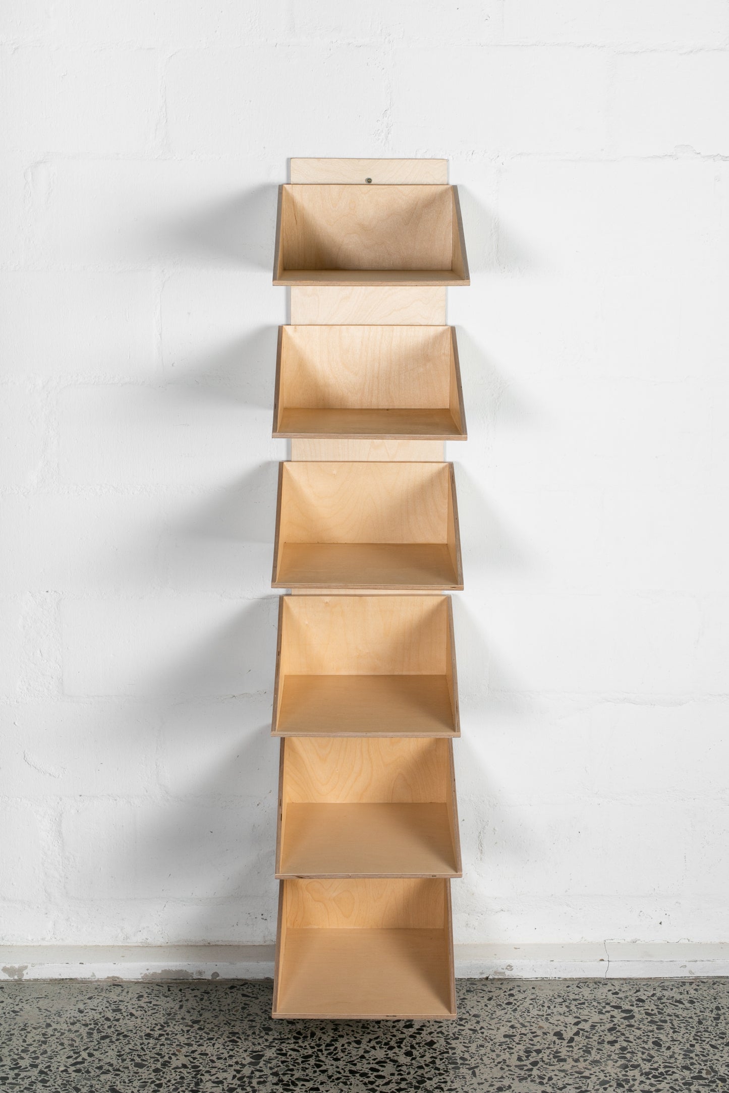 Shoe Shelf with Wall Hook