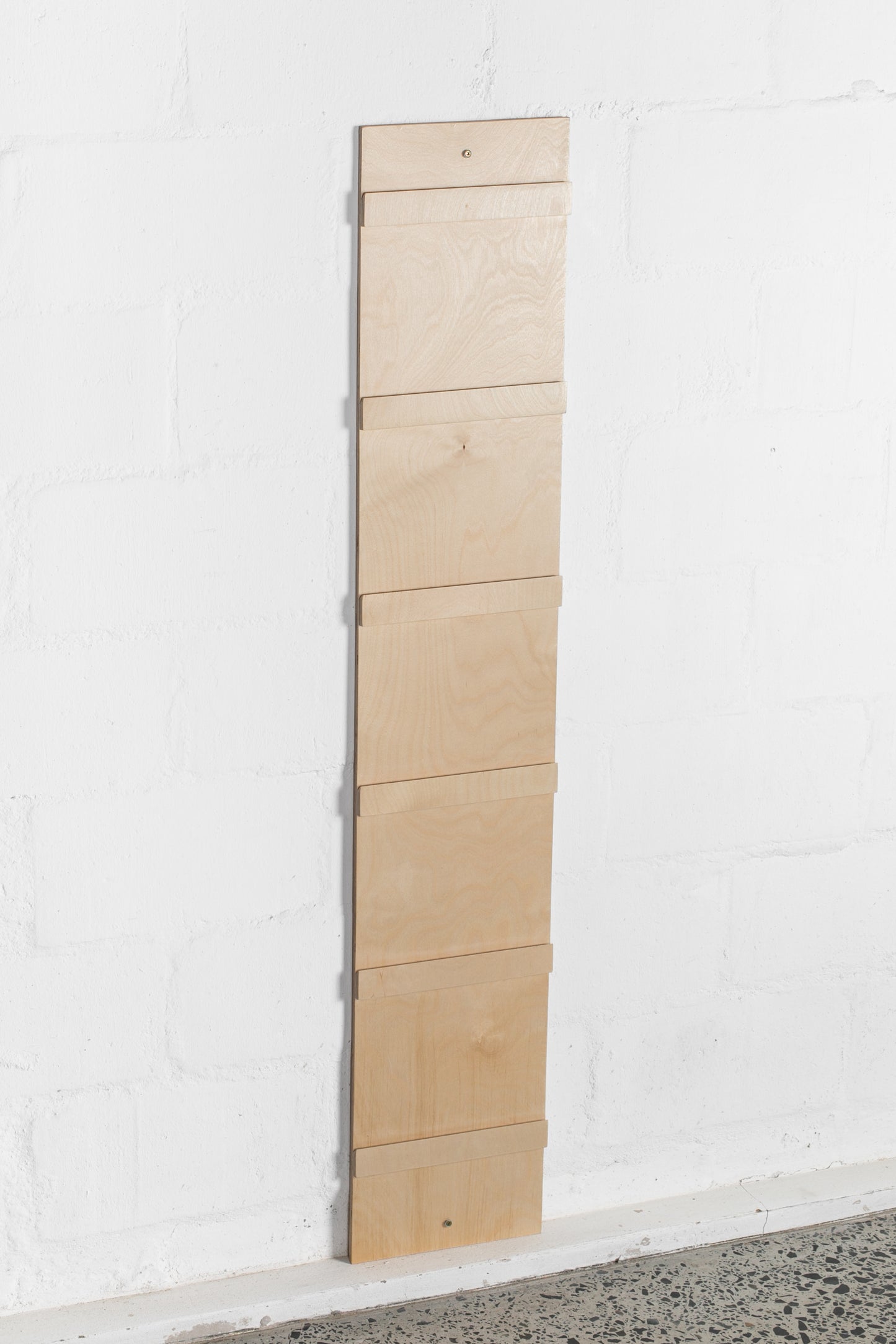 Shoe Shelf with Wall Hook