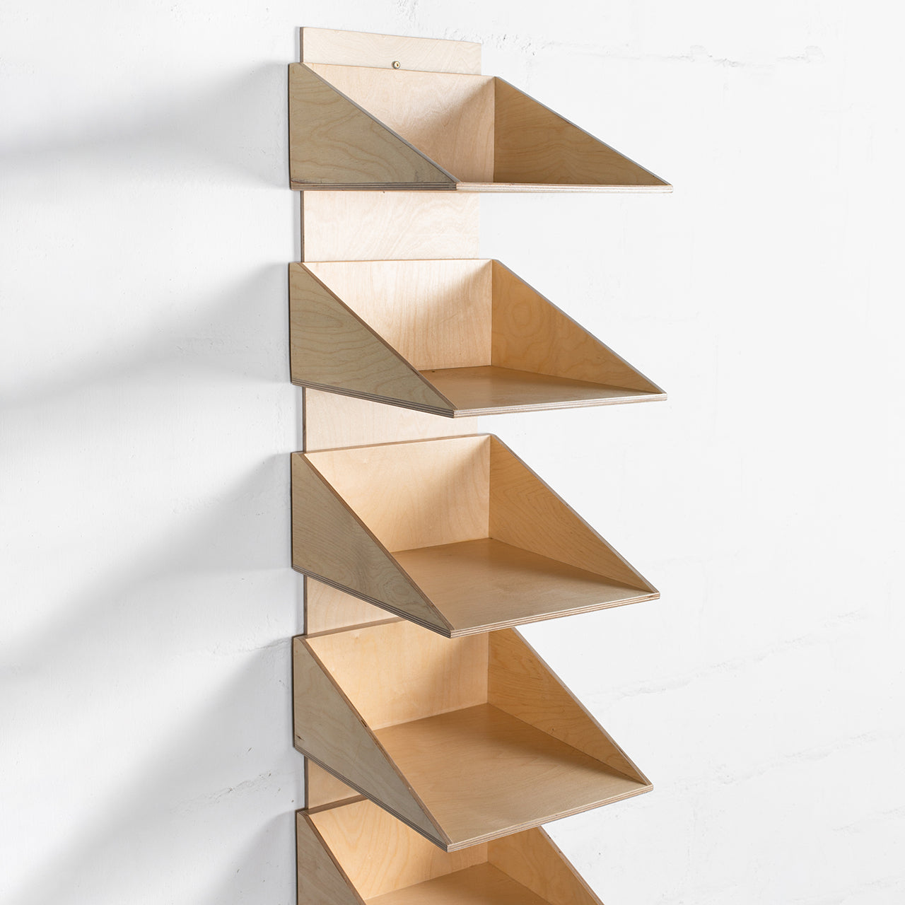 Shoe Shelf with Wall Hook
