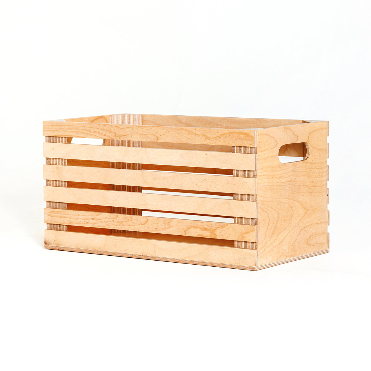Large Storage Crate