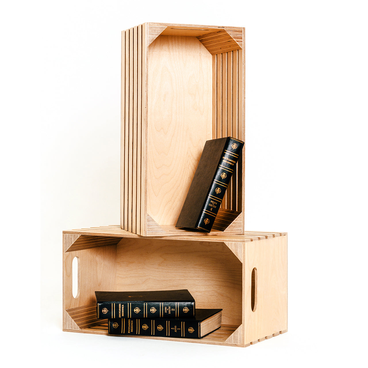 Large Storage Crate